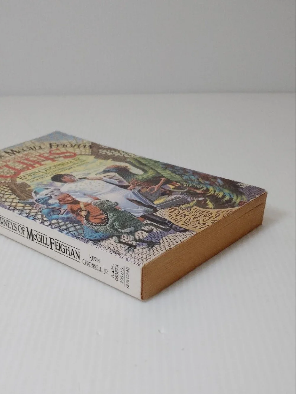 8 For $8 Journeys of McGill Feighan: Cliffs - White Book Cover
